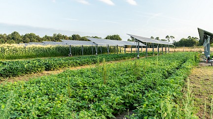 Conception de projets agrivoltaïques - L’INES lance sa première formation dédiée à l'agrivoltaïsme